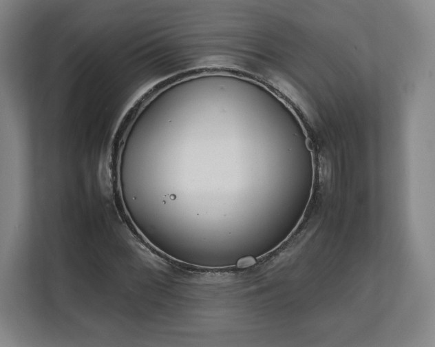 X0000111211068200907081257