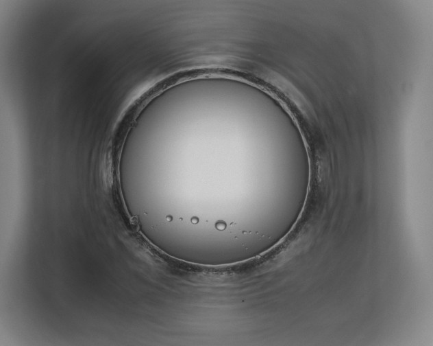 X0000111211069200907081257