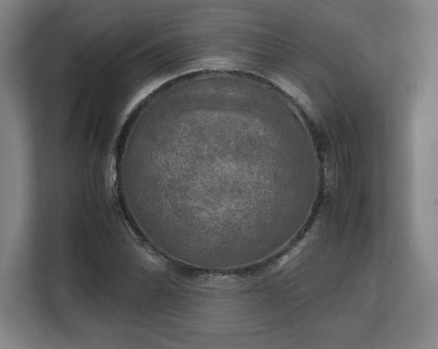 X0000111211070200907081257