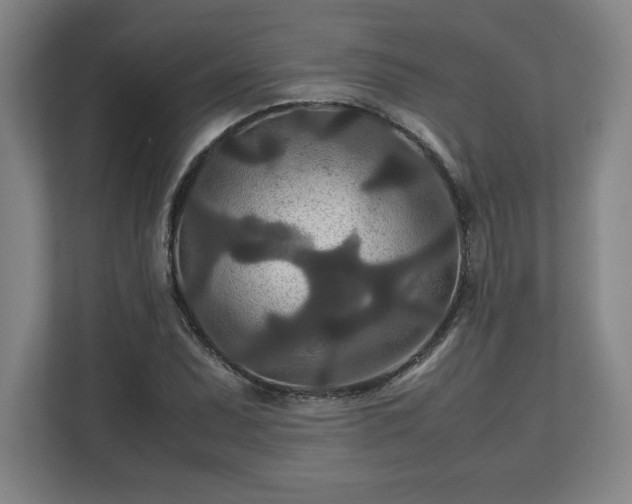 X0000111211071200907081257