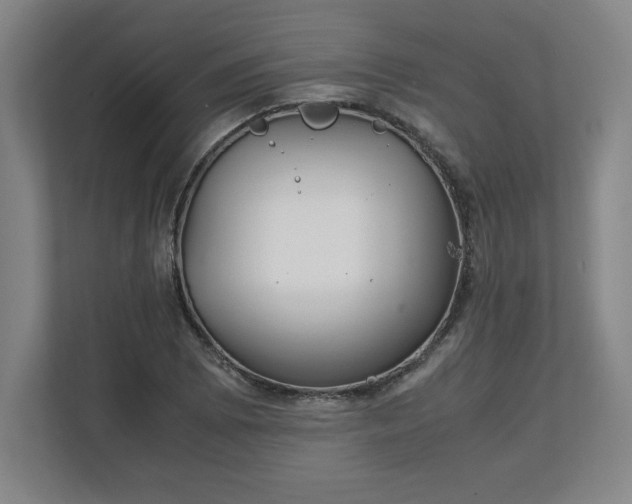 X0000111211073200907081257