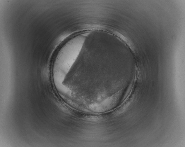 X0000111211074200907081257