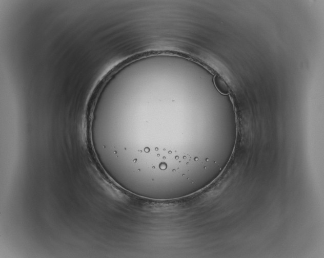 X0000111211076200907081257