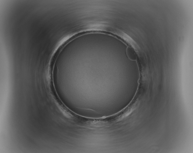 X0000111211077200907081257