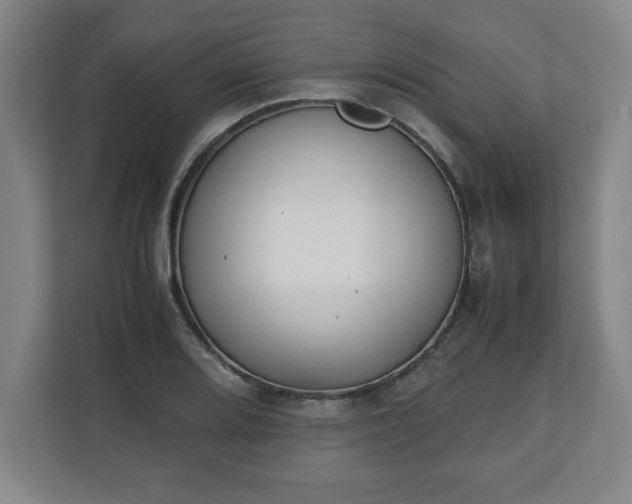 X0000111211080200907081257