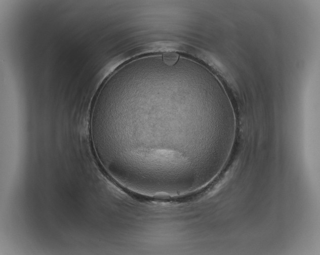 X0000111211081200907081257