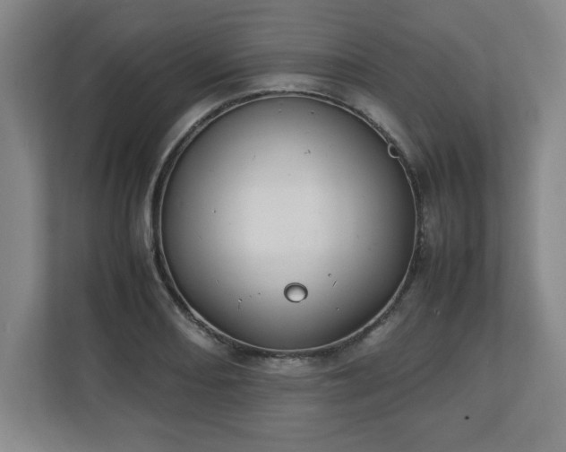 X0000111211082200907081257