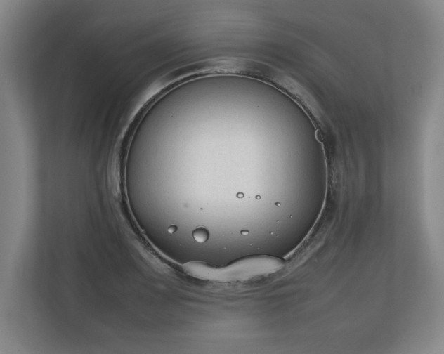 X0000111211083200907081257