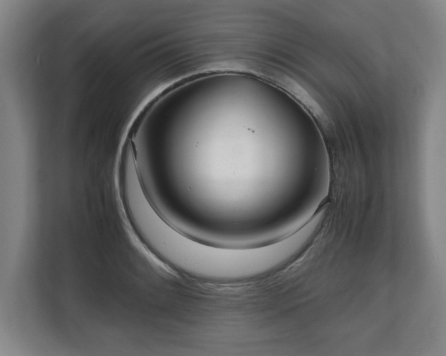 X0000111211084200907081257