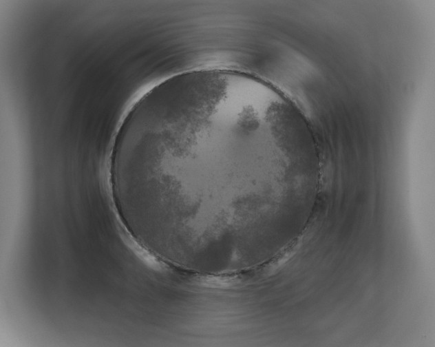 X0000111211086200907081257