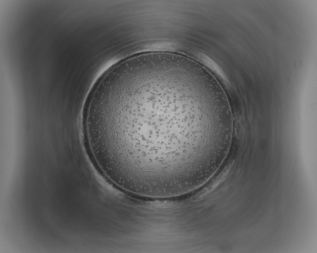 X0000111211087200907081257