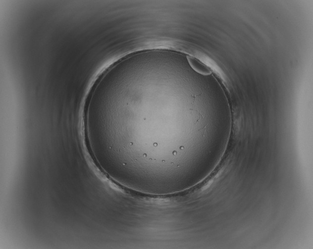 X0000111211088200907081257