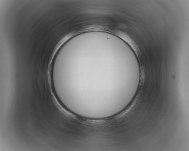 X0000111211090200907081257