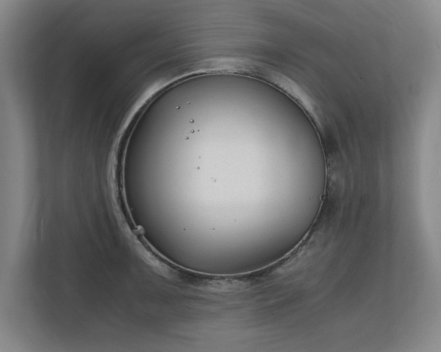 X0000111211091200907081257