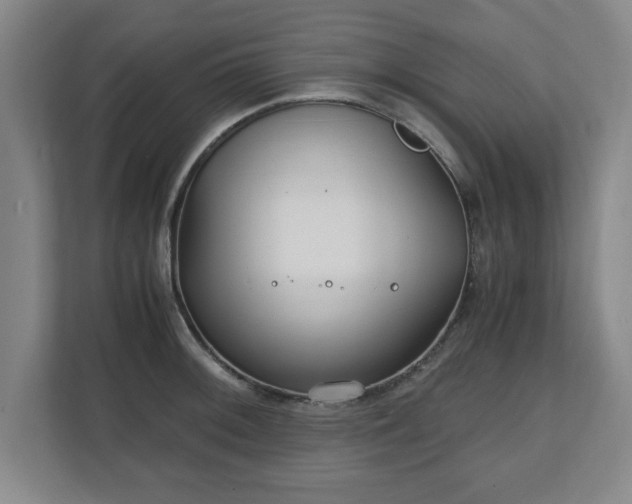 X0000111211092200907081257