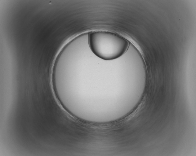 X0000111211093200907081257