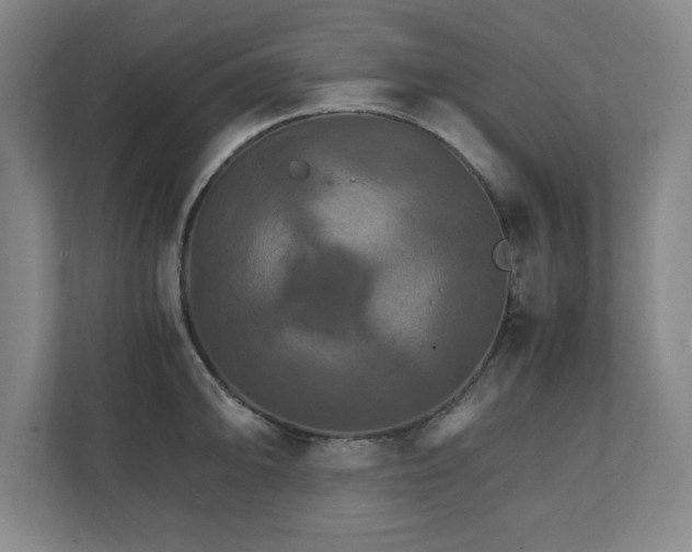 X0000111211094200907081257