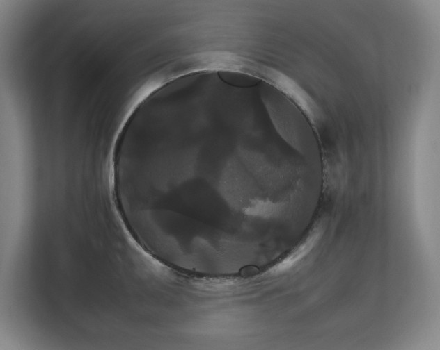 X0000111211095200907081257