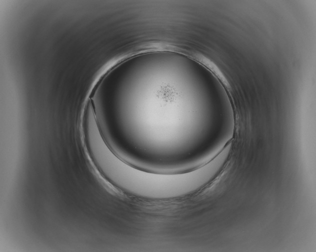 X0000111211098200907081257