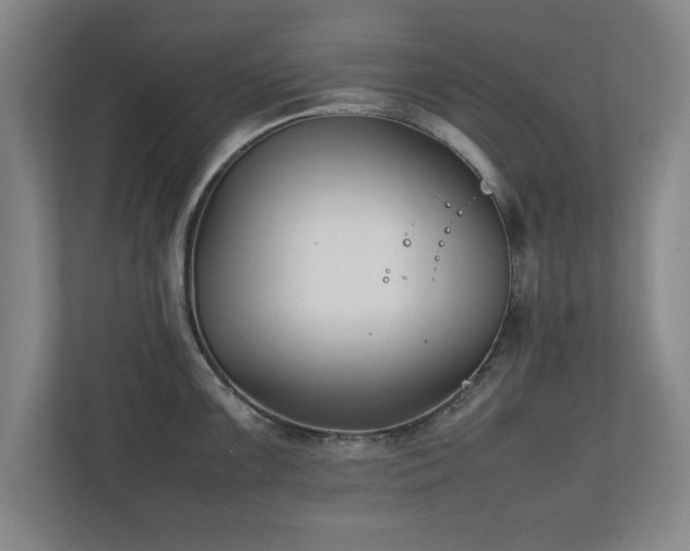 X0000111211099200907081257