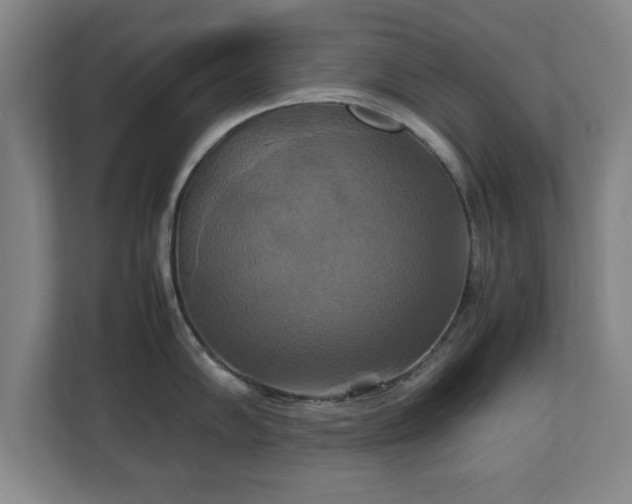 X0000111211102200907081257