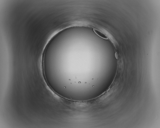 X0000111211103200907081257