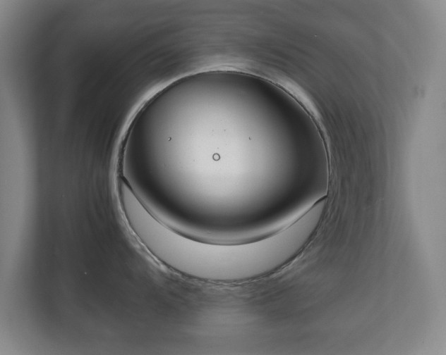 X0000111211104200907081257