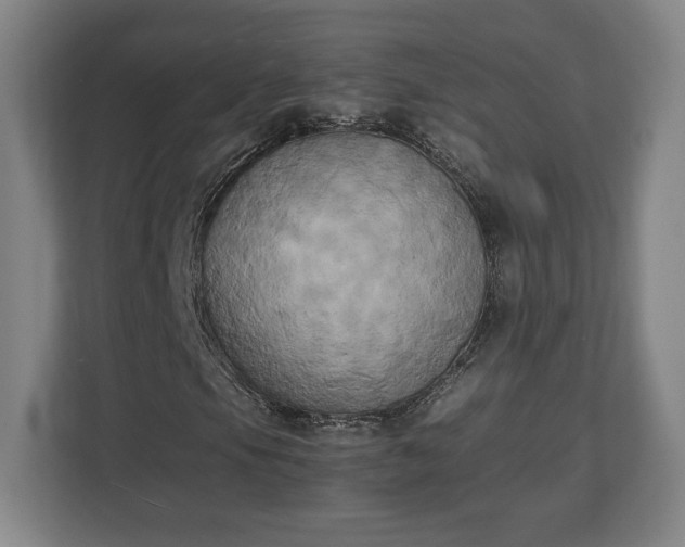 X0000111211105200907081256