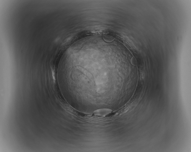 X0000111211106200907081256