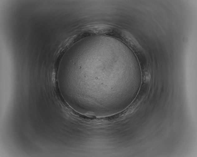 X0000111211108200907081256