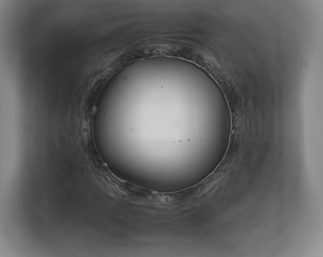 X0000111211109200907081256