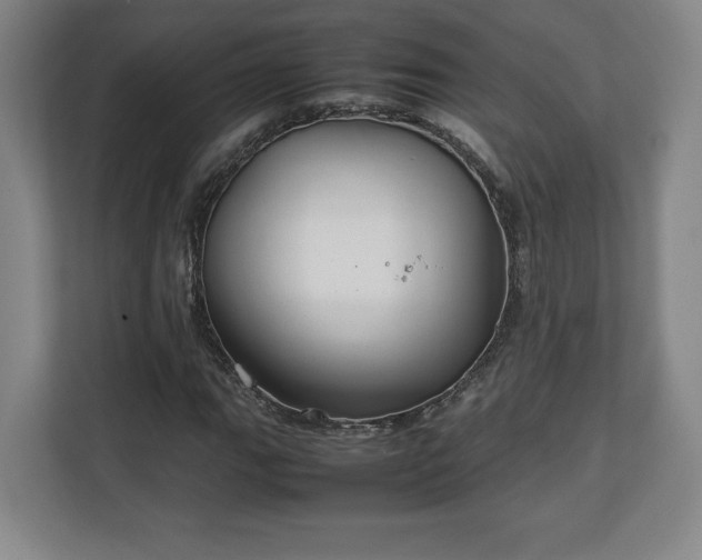 X0000111211111200907081256