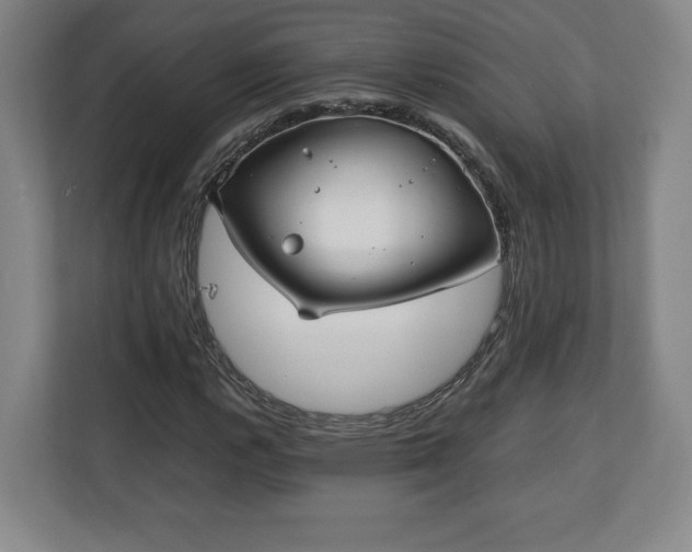 X0000111211112200907081256