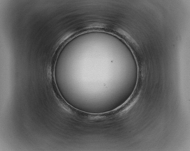 X0000111211113200907081256