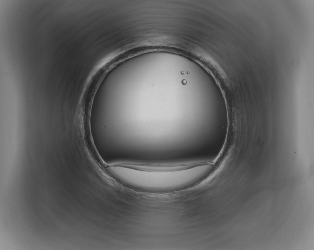 X0000111211114200907081256