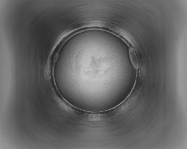 X0000111211116200907081256