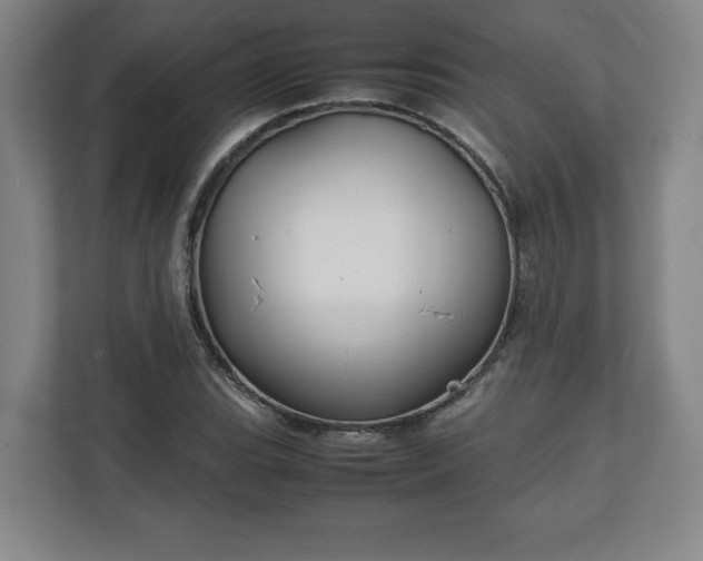 X0000111211119200907081256