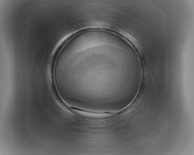 X0000111211120200907081256