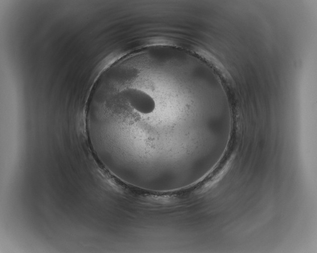 X0000111211121200907081256