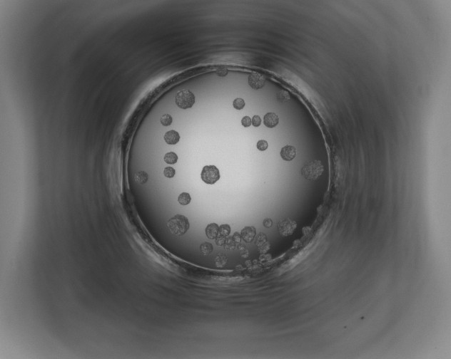 X0000111211123200907081256