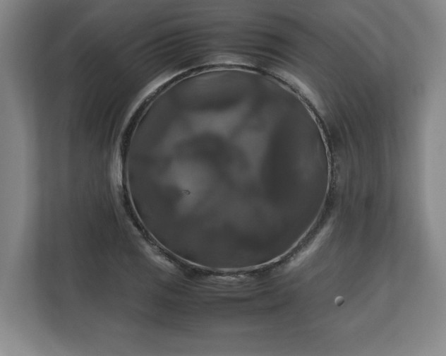 X0000111211125200907081256