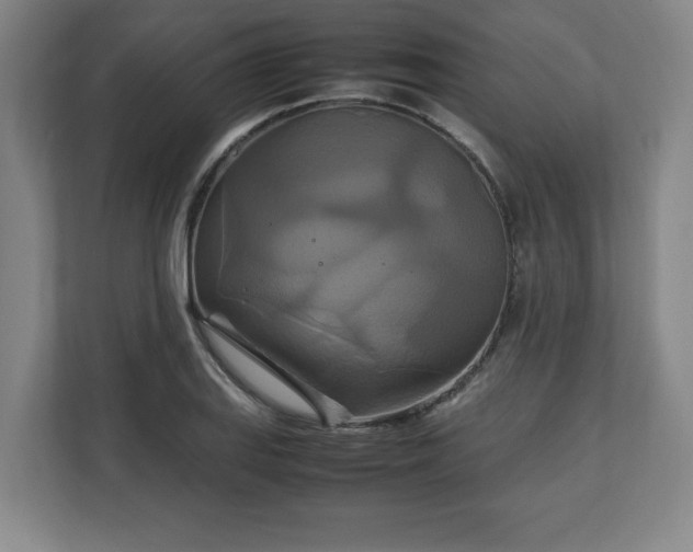 X0000111211127200907081256