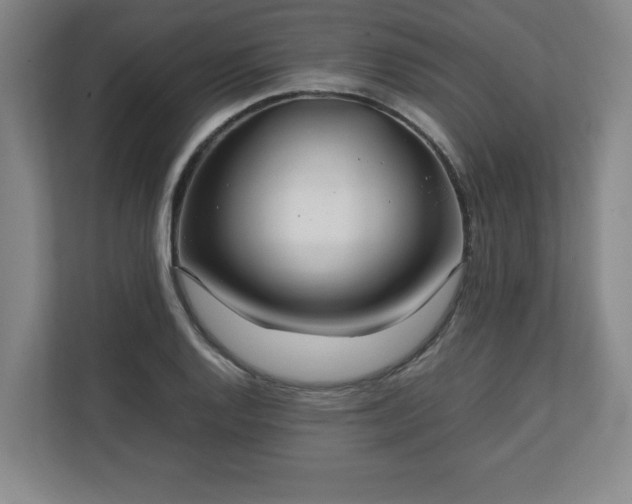 X0000111211128200907081256