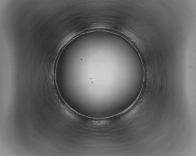 X0000111211129200907081256