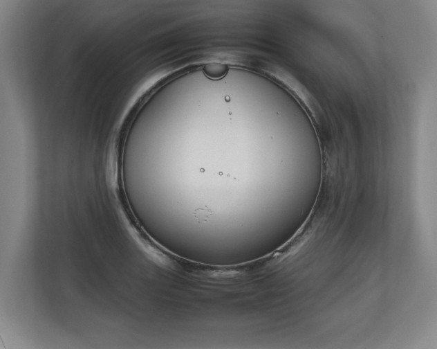 X0000111211131200907081256