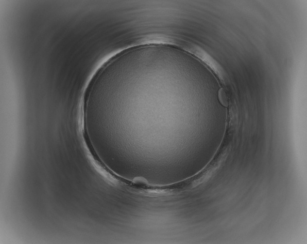 X0000111211132200907081256