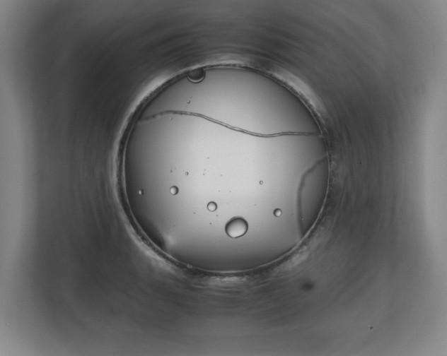 X0000111211135200907081256