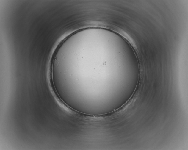 X0000111211136200907081256