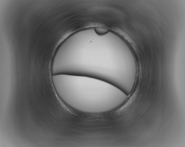 X0000111211137200907081256