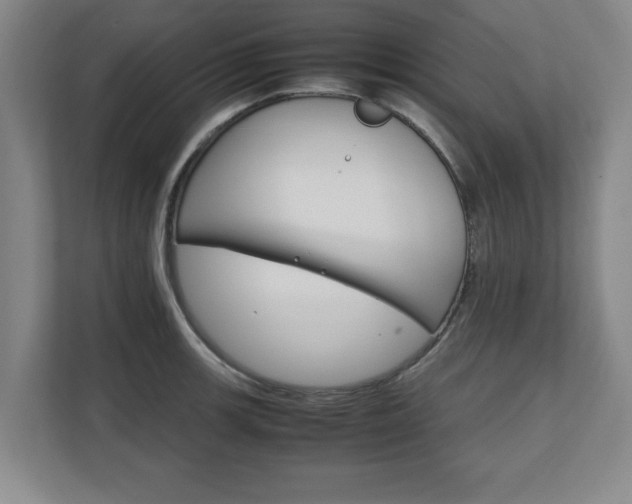 X0000111211139200907081256